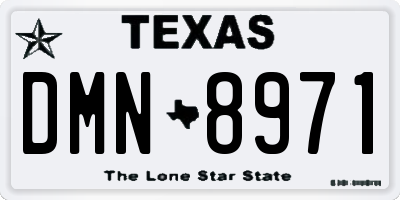 TX license plate DMN8971