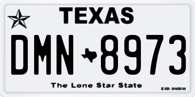 TX license plate DMN8973