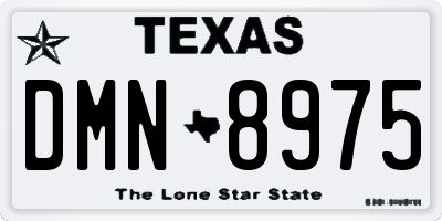 TX license plate DMN8975