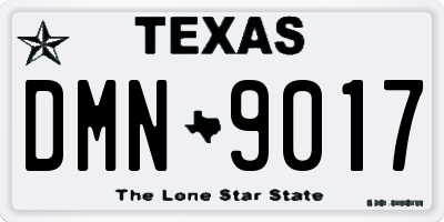 TX license plate DMN9017