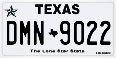TX license plate DMN9022