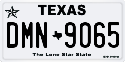 TX license plate DMN9065