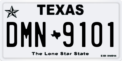 TX license plate DMN9101