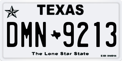 TX license plate DMN9213