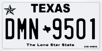TX license plate DMN9501