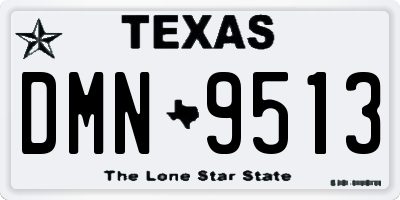 TX license plate DMN9513