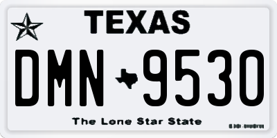 TX license plate DMN9530