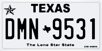 TX license plate DMN9531