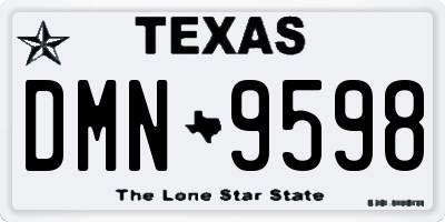 TX license plate DMN9598