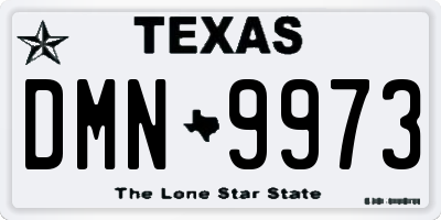 TX license plate DMN9973