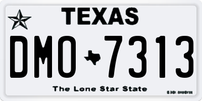 TX license plate DMO7313