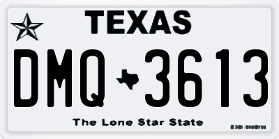 TX license plate DMQ3613