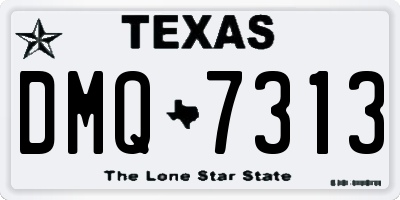 TX license plate DMQ7313