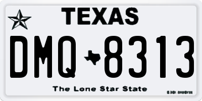 TX license plate DMQ8313