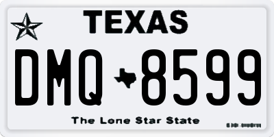 TX license plate DMQ8599