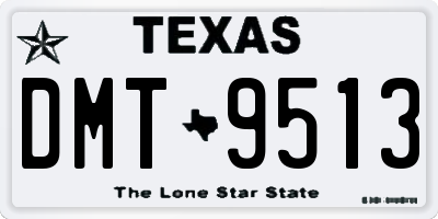 TX license plate DMT9513