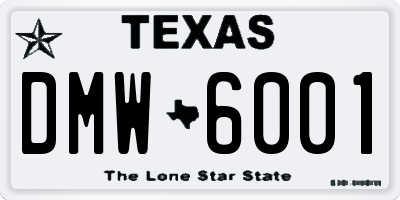 TX license plate DMW6001