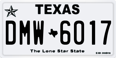 TX license plate DMW6017