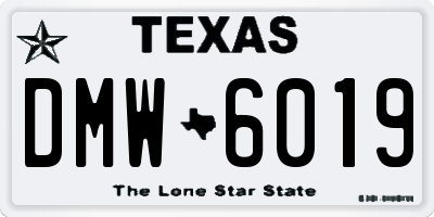 TX license plate DMW6019