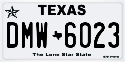 TX license plate DMW6023