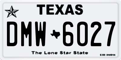 TX license plate DMW6027