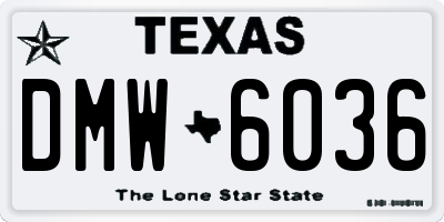 TX license plate DMW6036