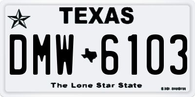 TX license plate DMW6103