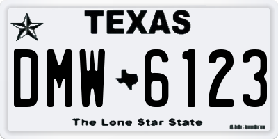 TX license plate DMW6123