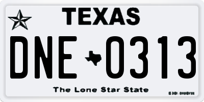 TX license plate DNE0313