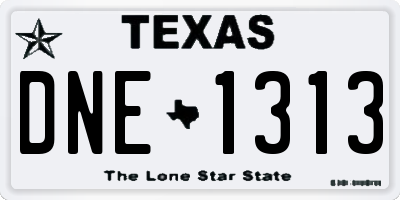 TX license plate DNE1313