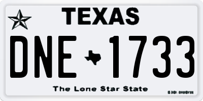TX license plate DNE1733