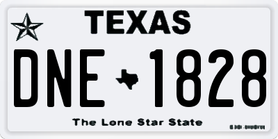TX license plate DNE1828