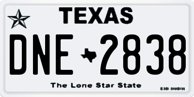 TX license plate DNE2838