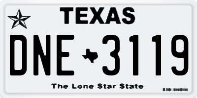TX license plate DNE3119