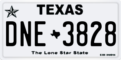 TX license plate DNE3828