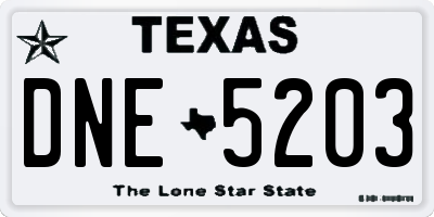 TX license plate DNE5203