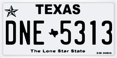 TX license plate DNE5313