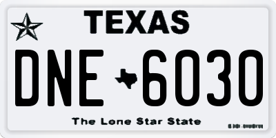 TX license plate DNE6030