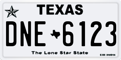 TX license plate DNE6123