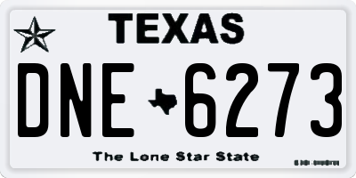 TX license plate DNE6273