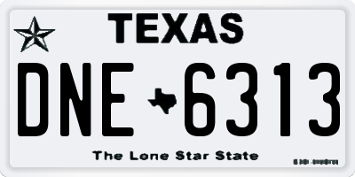 TX license plate DNE6313