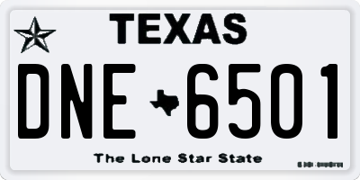 TX license plate DNE6501
