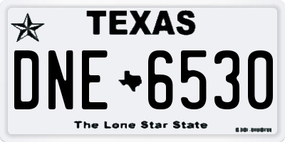 TX license plate DNE6530