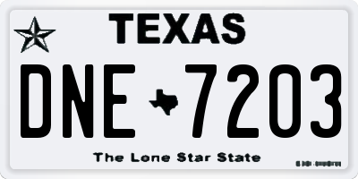 TX license plate DNE7203