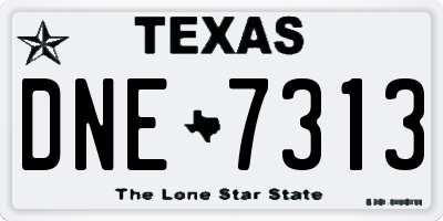 TX license plate DNE7313