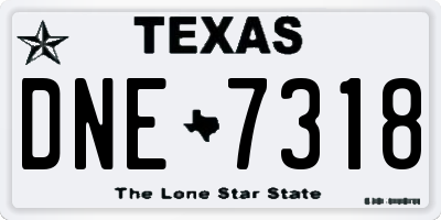 TX license plate DNE7318