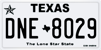 TX license plate DNE8029