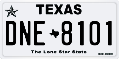 TX license plate DNE8101