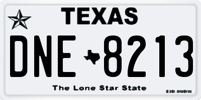TX license plate DNE8213