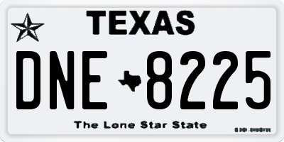 TX license plate DNE8225